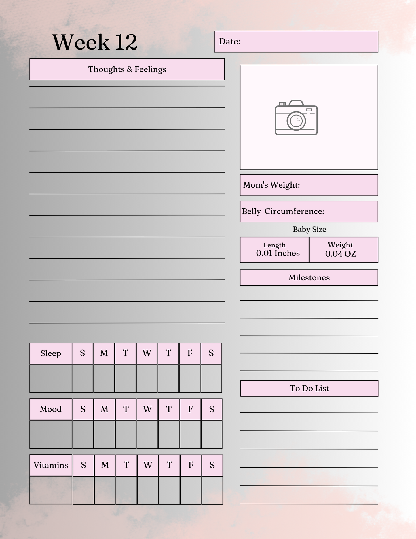 40 Week Pregnancy Journal